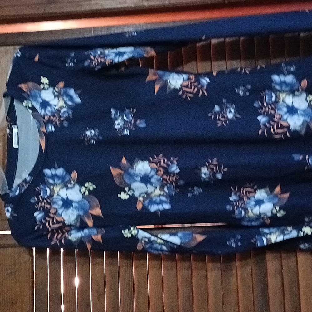 Long Sleeve Blue/Orange top